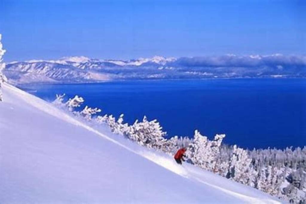 Ski In/Out - Zalanta - Great Location- 2 Hot Tubs - Heated Pool South Lake Tahoe Eksteriør billede