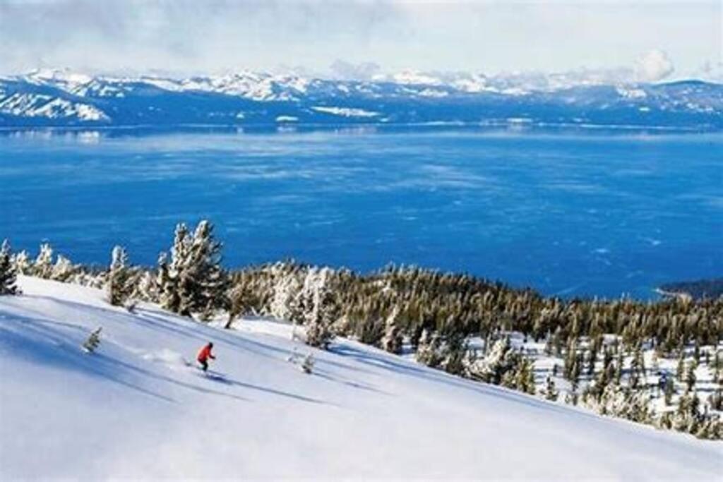 Ski In/Out - Zalanta - Great Location- 2 Hot Tubs - Heated Pool South Lake Tahoe Eksteriør billede